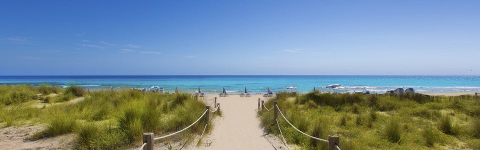 A sandy walkway towards a clear blue sea in Alaior Cala Son Bou in Menorca