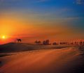 Sunset over the desert of united arab emirates