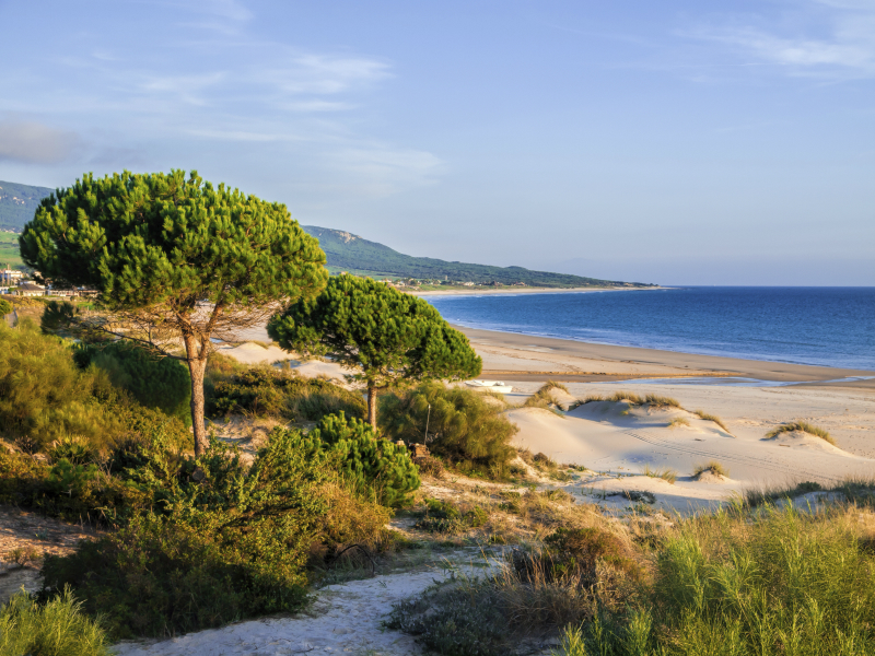 Beach and Sea