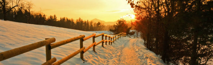 Winter susnet