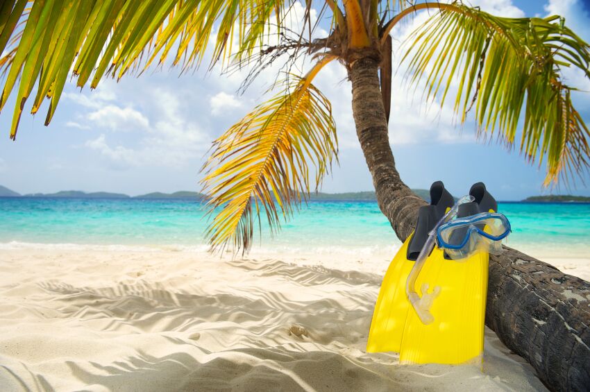 https://www.staysure.co.uk/wp-content/uploads/2016/04/Flippers-Snorkel-and-Palm-Tree-%E2%80%93-Caribbean.jpg