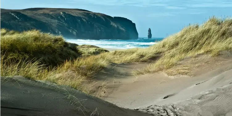 an image of the giant sea stack at Sandwood Bay, Scotland, through the sand dunes