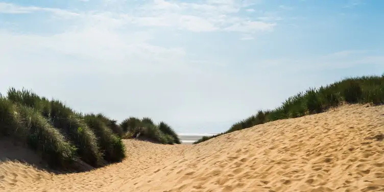 an image of sand dunes with grassy banks in Formby, Merseyside