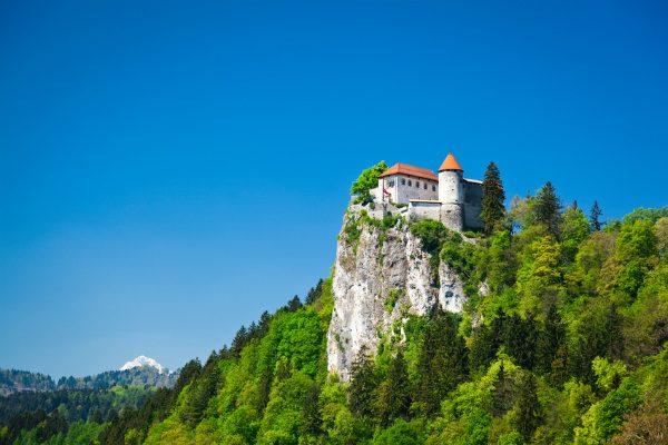 Bled Castle