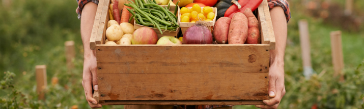 Organic your September