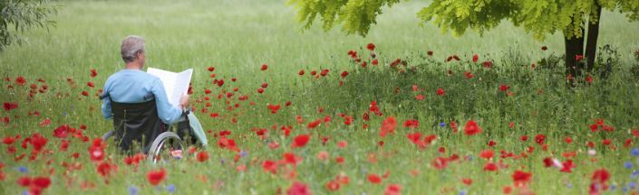 Man in a wheelchair in a meadow