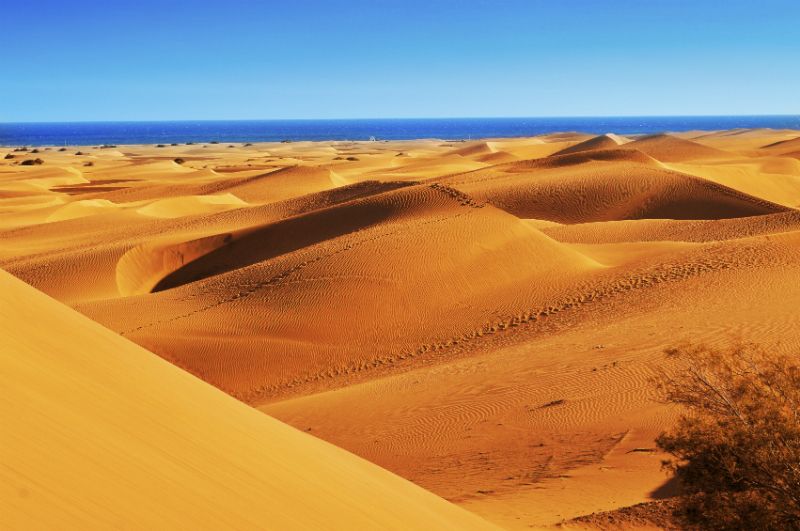 Playa de Maspalomas dunes, Gran Canaria