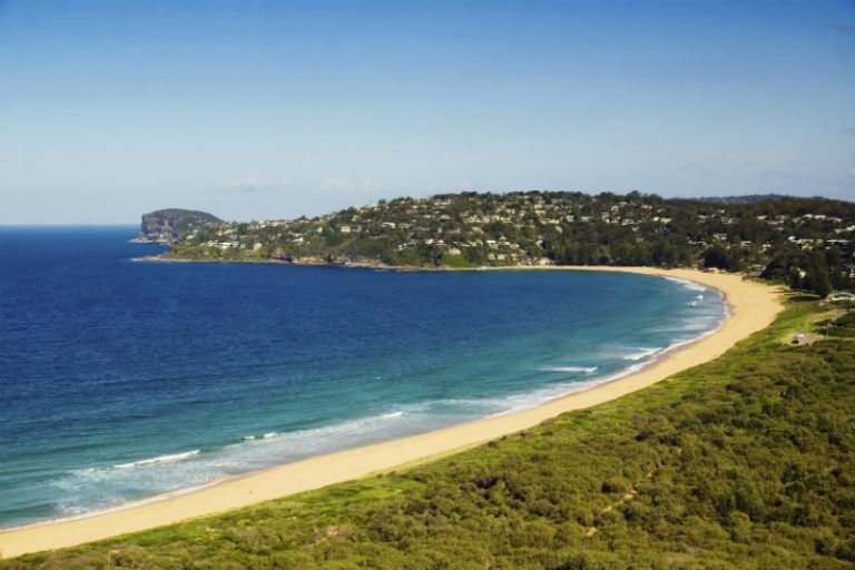 Palm beach in Sydney