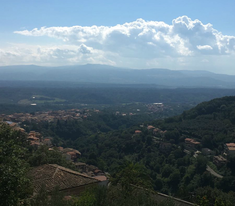A-great-view-from-the-top-