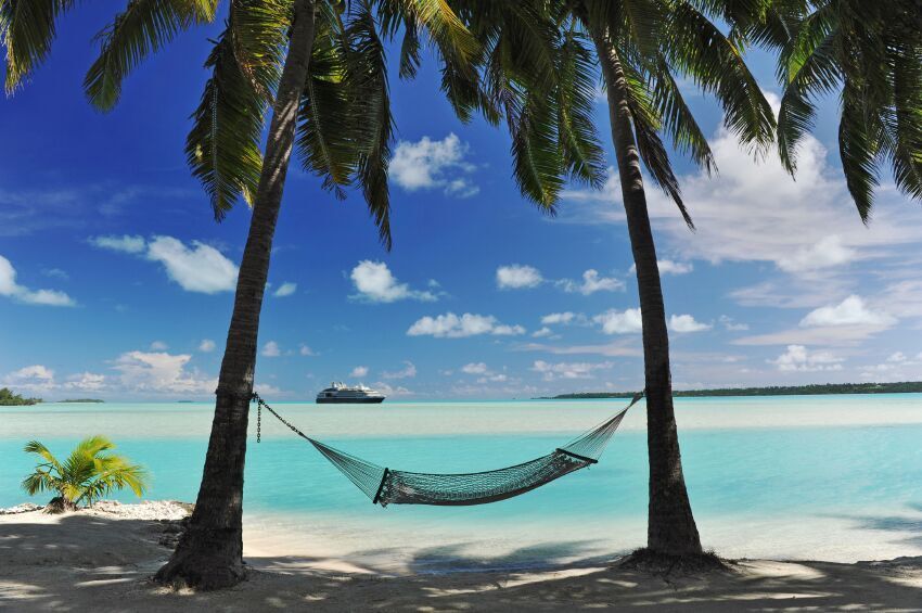 Hammock on palm trees