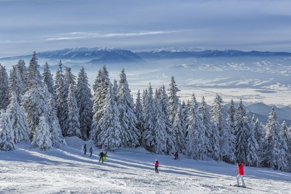 Ski slope