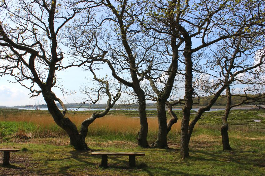 Lepe Country Park, New Forest, UK