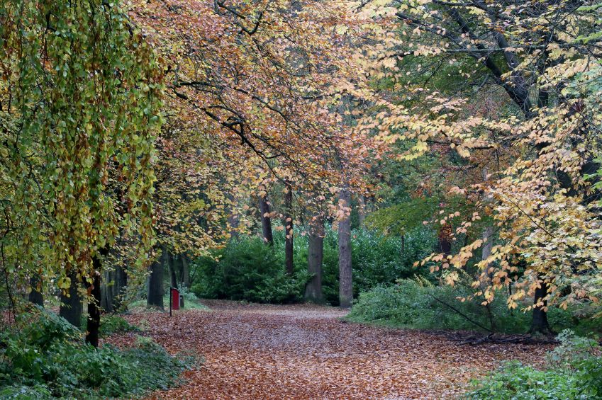 Lickey Hills Country Park, Birmingham