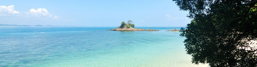Tropical beach view