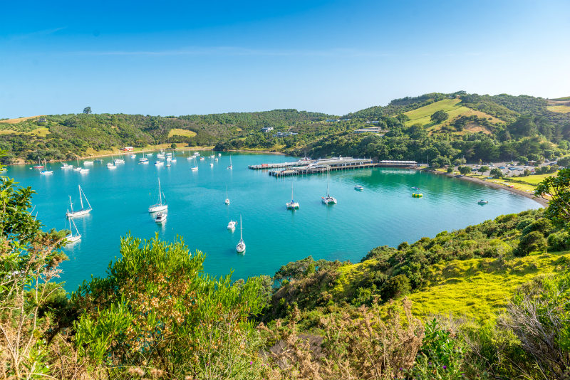 Waiheke New Zealand