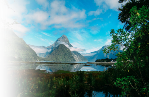 Travel insurance new zealand