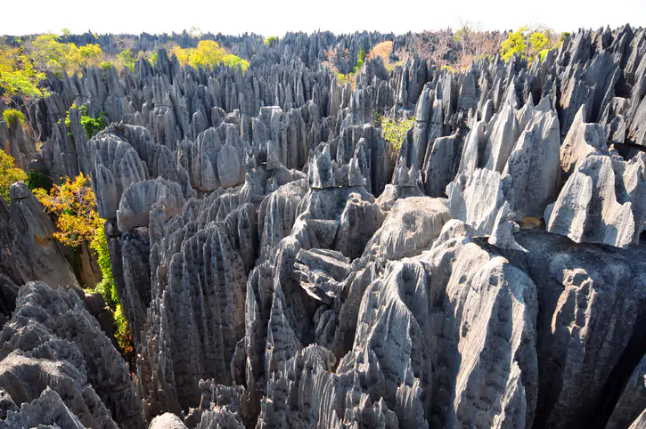 Tsingy de Bemaraha in Madagascar