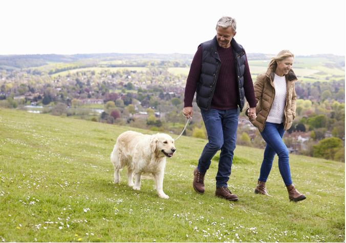 Dog walkers