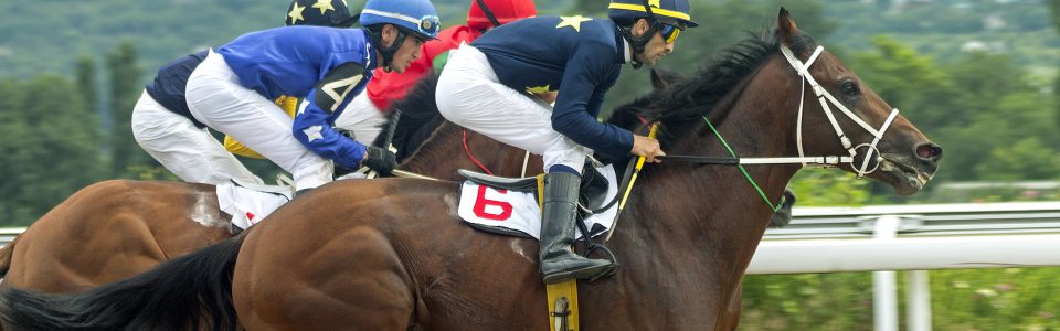 The health benefits of horse riding