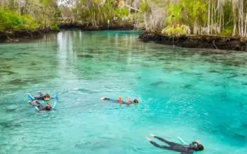 Family snorkelling at spring in Crystal River Florida USA