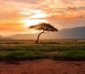 Kenya National Park views
