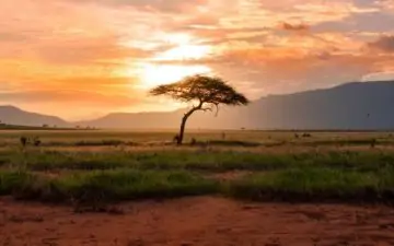 Kenya National Park views