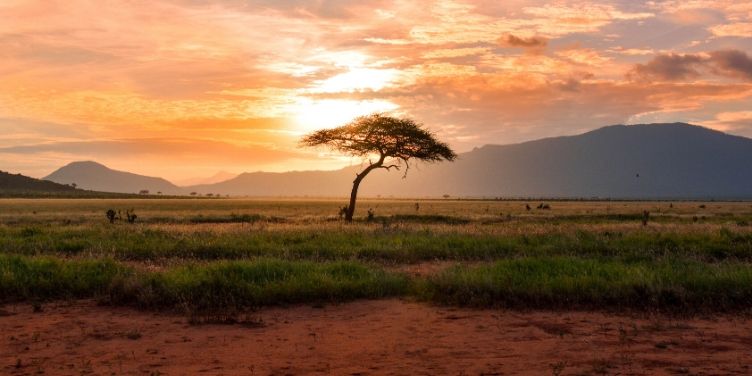 Kenya National Park views