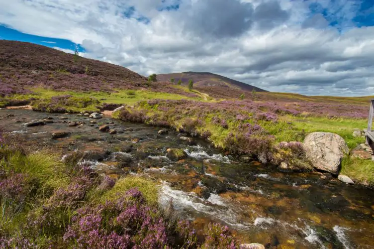 Cairngorms National Park, Scotland