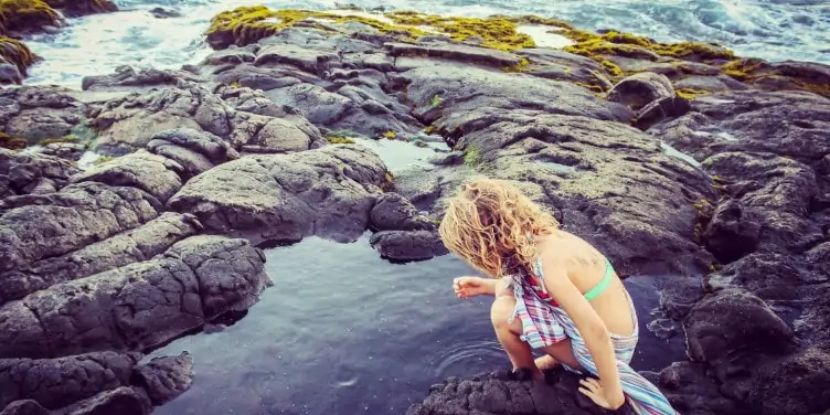 Child exploring tidepools