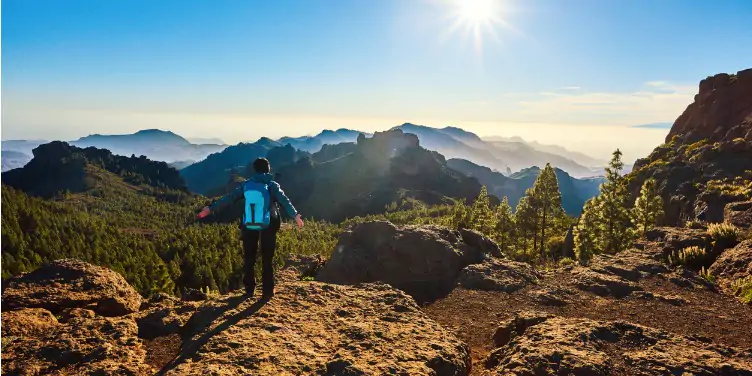 Hiker stands admiring the views of pine trees and mountains in Gran Canaria