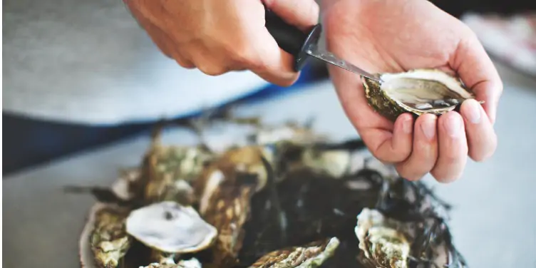 Oysters being prepared to eat