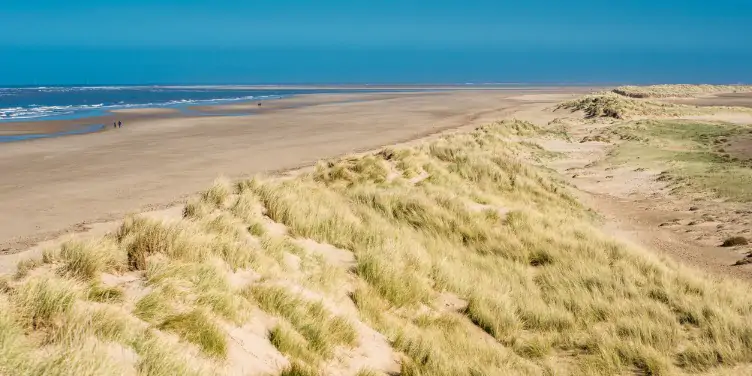 Sand dunes and nature reserve along Holkham Beach
