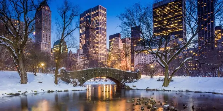 Gaptsow bridge in Central Park