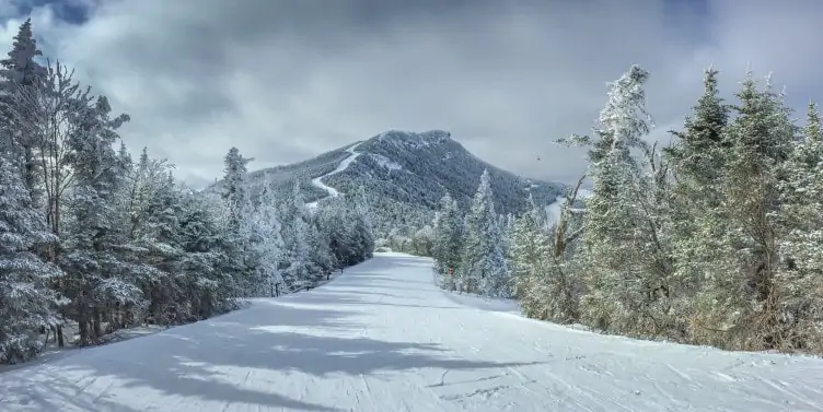 Snowy mountain path with pine trees
