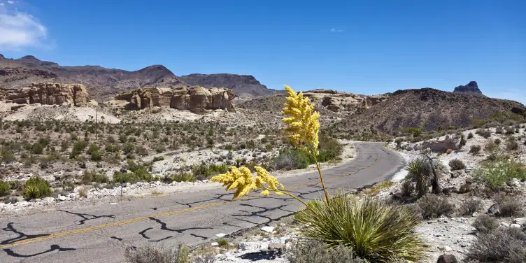 A historic stretch of the old, patched-up Route 66 road in Arizona