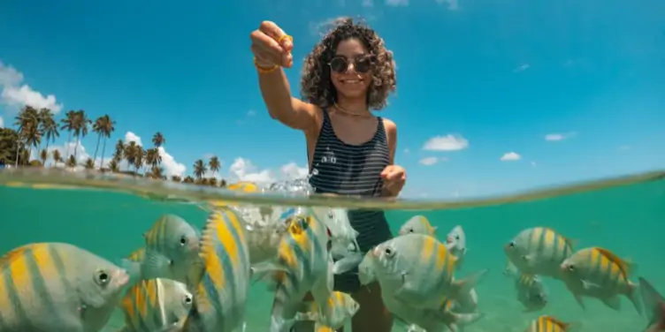 woman feeding fish in sea