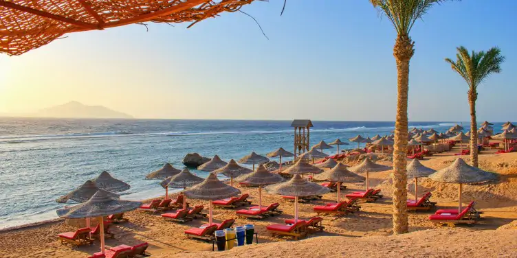 Exotic sandy beach with palm trees and parasols in Sharm el-Sheikh, Egypt